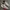 Nike Streetwear Casual Sneakers Pria white black photo 1
