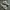 Nike Streetwear Casual Sneakers Pria white black photo 3