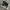 Adidas Streetwear Casual Sneakers Pria white black photo 1