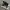 Adidas Streetwear Casual Sneakers Pria White Black