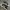 Adidas Streetwear Casual Sneakers Pria white black photo 3