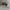Adidas Streetwear Casual Sneakers Pria white black photo 5