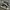 Adidas Streetwear Casual Sneakers Pria White Black