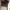 Casual Boots Pria brown photo 4