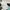 Fred Perry Casual Polo shirt Pria white black photo 6