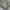 Crop top tali serut knit rajut wanita premium photo 2