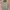Billionaire Boys Club Green Space Camo Full Zip Hoodie photo 2
