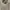 Billionaire Boys Club Green Space Camo Full Zip Hoodie photo 4