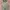 Billionaire Boys Club Green Space Camo Full Zip Hoodie photo 3