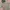 Billionaire Boys Club Green Space Camo Full Zip Hoodie