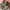Billionaire Boys Club Green Space Camo Full Zip Hoodie photo 5