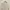 Crop Cardigan - Cream photo 2