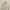 Crop Cardigan - Cream