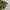 A Bathing Ape BAPE Camo Shark Shirt Men photo 5