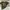 A Bathing Ape BAPE Camo Shark Shirt Men photo 6