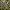 A Bathing Ape BAPE Camo Shark Shirt Men