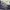 JERSEY 3D PRINTING NAVY VETERAN ORIGINAL 100% photo 3