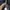 Tracktop Guess photo 3