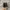 Salomon XT-6 Gore-Tex Ebony Lunar Black photo 4