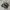 Salomon XT-6 Gore-Tex Ebony Lunar Black photo 1