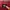 Crewneck Stussy Basic Maroon photo 4