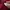 Crewneck Stussy Basic Maroon photo 6