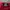 Crewneck Stussy Basic Maroon photo 5