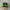Nike SHOX TL Green Bunglon photo 4