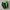 Nike SHOX TL Green Bunglon photo 3