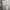 Proyektor/Projector Wanbo New T2 Max photo 1