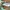 AIRMAX 2090 photo 6