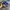 ADIDAS BERMUDA BLUE ELECTRIC photo 5