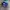 ADIDAS BERMUDA BLUE ELECTRIC photo 2