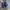 ADIDAS BERMUDA BLUE ELECTRIC photo 4