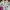 Nike ACG jacket gorpcore photo 4