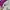 Nike ACG jacket gorpcore photo 8