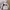 Nike ACG jacket gorpcore photo 2
