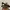 Oakley frogskin OG photo 3