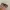 Oakley frogskin OG photo 2