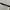 Oakley frogskin OG photo 5