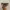 Oakley frogskin OG photo 1