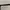 Oakley frogskin OG photo 4