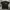 TSHIRT COVERNAT AUTHENTIC photo 2