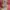 NEWS 2018-19 EPCOTIA-ENCORE- Zip Semi Crop Hoodie photo 6