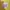 NEWS 2018-19 EPCOTIA-ENCORE- Zip Semi Crop Hoodie photo 4