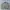 Fieldcore Streetwear Casual Bomber Jacket Pria Cream