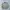 Fieldcore Streetwear Casual Bomber jacket Pria cream photo 3