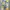 Levi’s 501 tie dye jeans slimfit photo 2