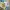 Levi’s 501 tie dye jeans slimfit photo 8