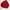 Red Harrington Jacket by Tacton “British Style” photo 3